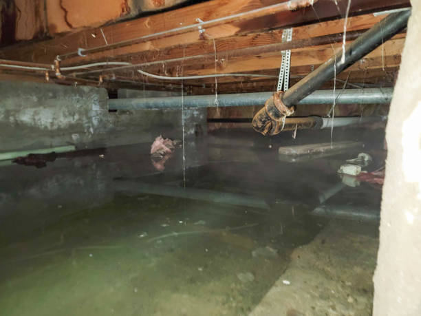Best Residential water damage restoration  in Mebane, NC
