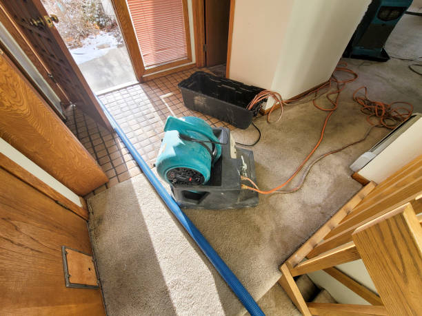 Water damage restoration experts in Mebane, NC