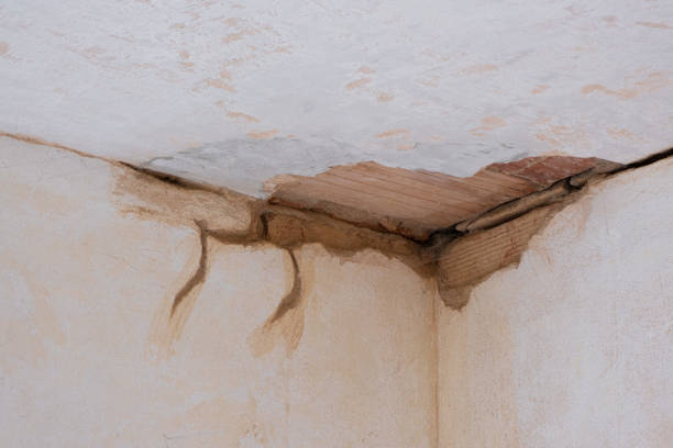 Water damage restoration insurance claims in Mebane, NC