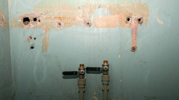 Best Residential water damage restoration  in Mebane, NC
