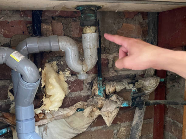 Best Basement water damage restoration  in Mebane, NC