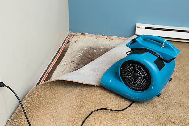 Professional Water damage restoration in Mebane, NC